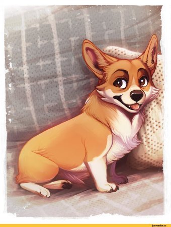 Корги референсы