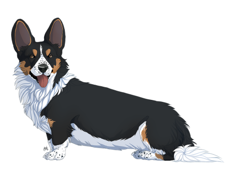 Вельш корги кардиган рисунок