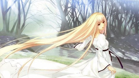 Аниме девушки с длинными волосами