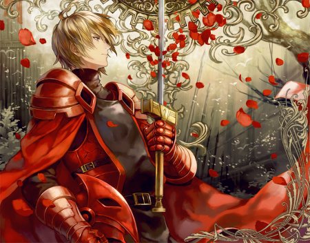 Аниме Король Мечников