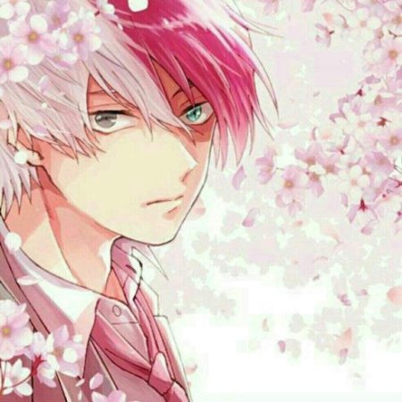 Сакура и Тодороки