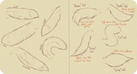 Кошачий хвост референс