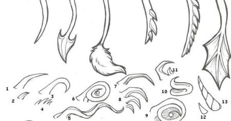 Хвост референс прическа