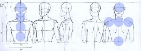 Как рисовать человека сзади