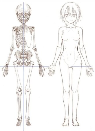 Скелет в полный рост референс