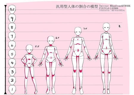 Пропорции тела человека референс