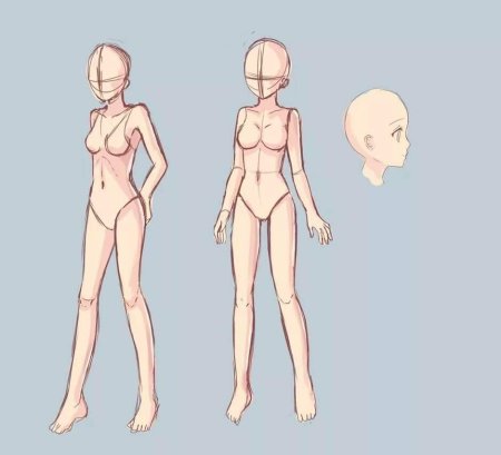 Референс тела в полный рост