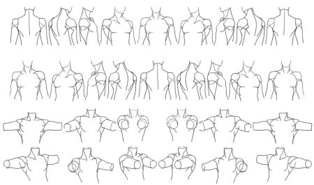 Плечи референсы