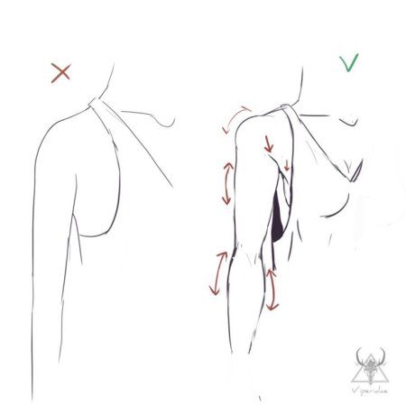Туториал по рисованию плеч
