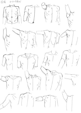 Плечи референс