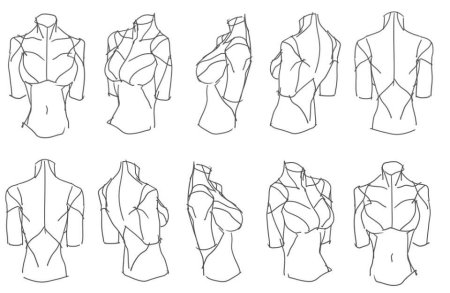 Туториалы по рисованию плеч