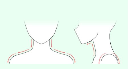 Как рисовать шею