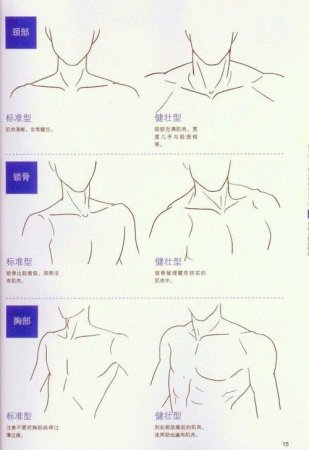 Референс шеи и плеч