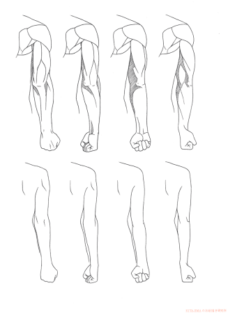 Руки для рисования от плеча