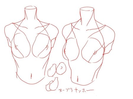 Рисование женской груди