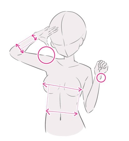 Анатомия плеч для рисования