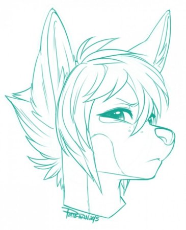 Фурри ariyah Lynx