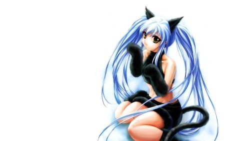 Аниме котики девушки