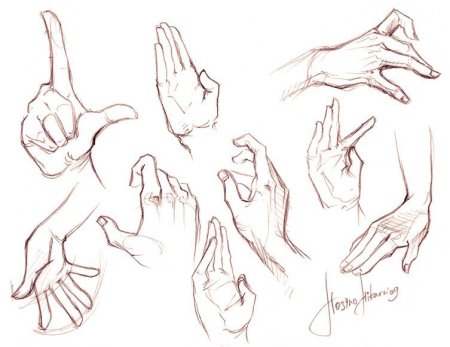 Туториалы рук