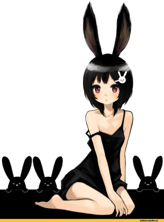 Черный кролик / Bunny Black