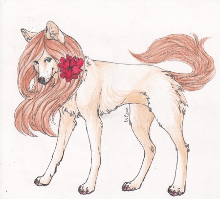 Рисунки Волков аниме