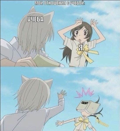 Усуи и Томоэ