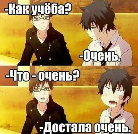 Аниме мемы