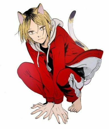 Волейбол неко Кенма