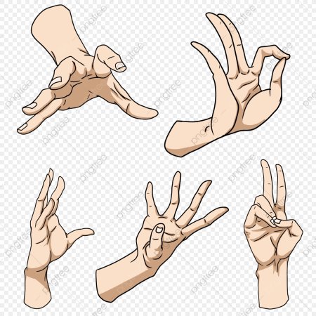 Руки жесты референс