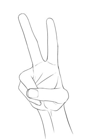 Референс руки два пальца