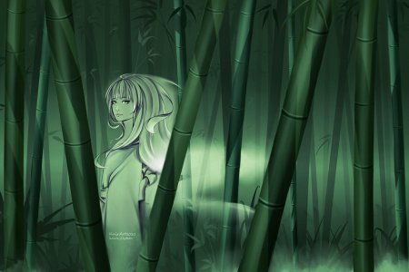 Бамбуковый лес аниме