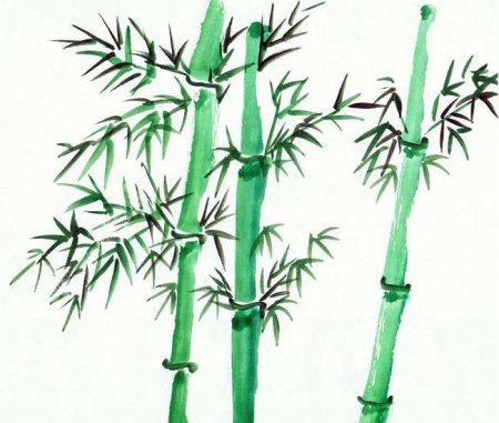 Рисование бамбука для детей
