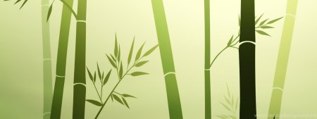 Тростник бамбук