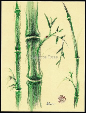 Листья бамбука на черном фоне