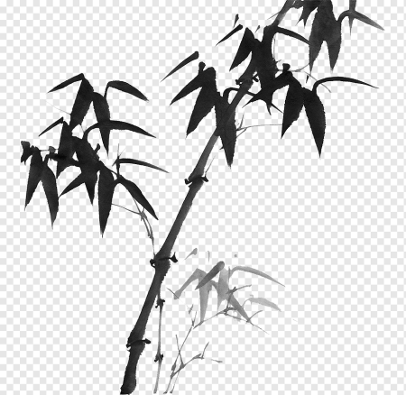 Бамбук без фона