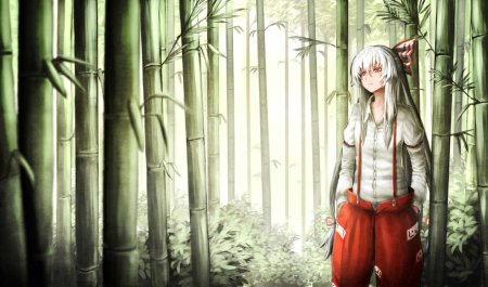 Бамбук тень