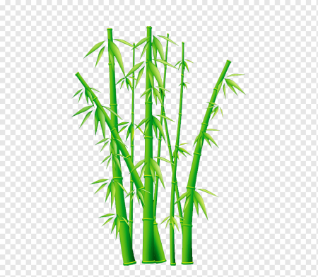 Бамбук рисовка