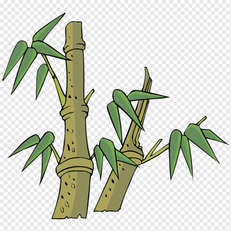 Бамбук рисунок