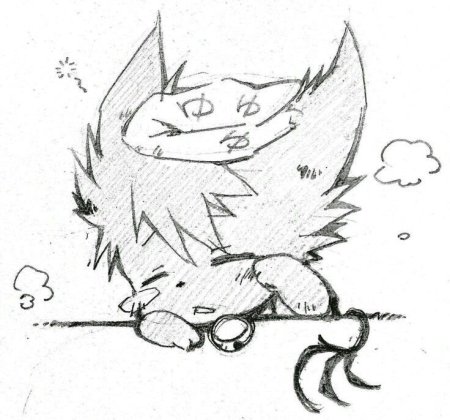 Сервамп куро кот