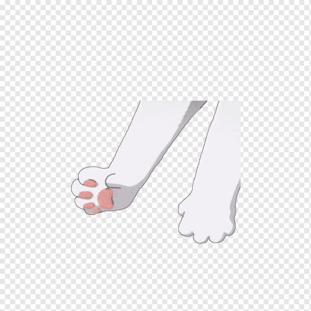 Лапки мультяшные