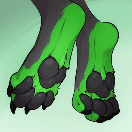 Антро лапы фурри