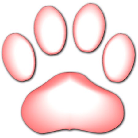 Кошачья лапка