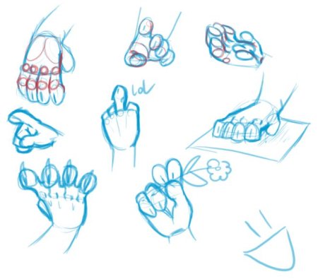 Анатомия рук фурри