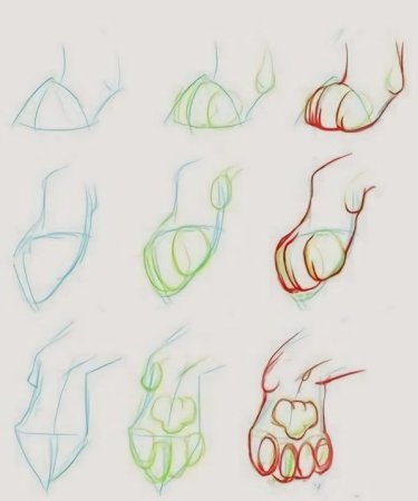 Лапы кошки туториал референс