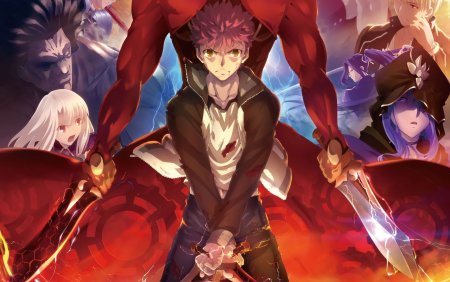 Аниме Fate Берсеркер