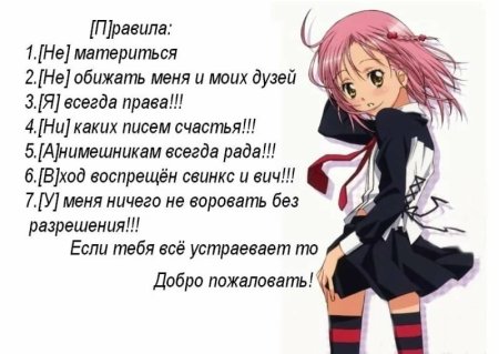 Правила анимешников