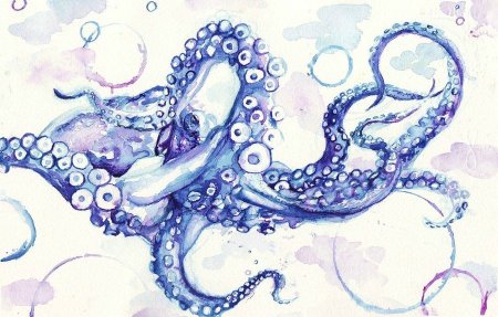 Щупальца осьминога акварелью