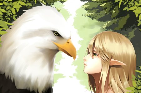 Eagle Original character