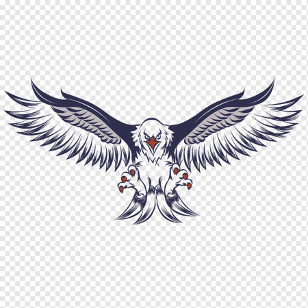 Эскиз орла с расправленными крыльями