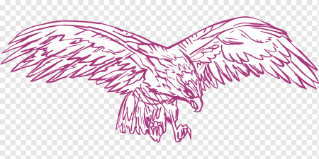 Крыло хищной птицы вектор